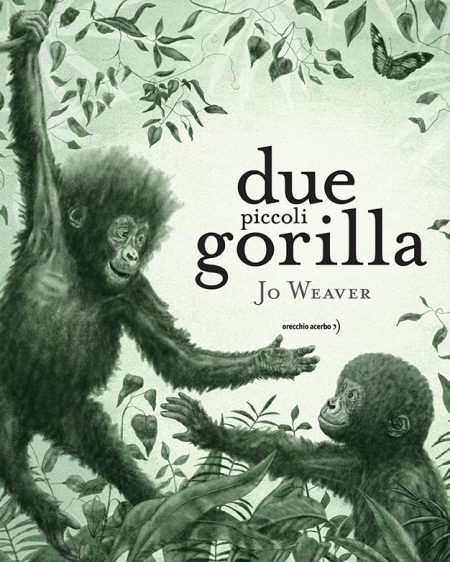 Due piccoli gorilla