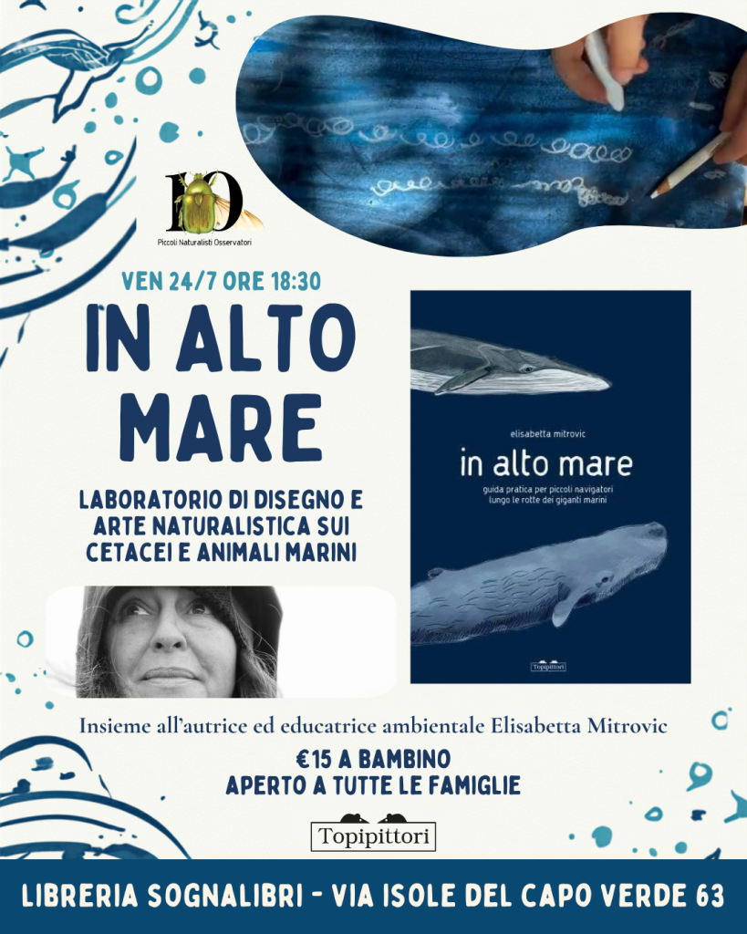 In alto mare